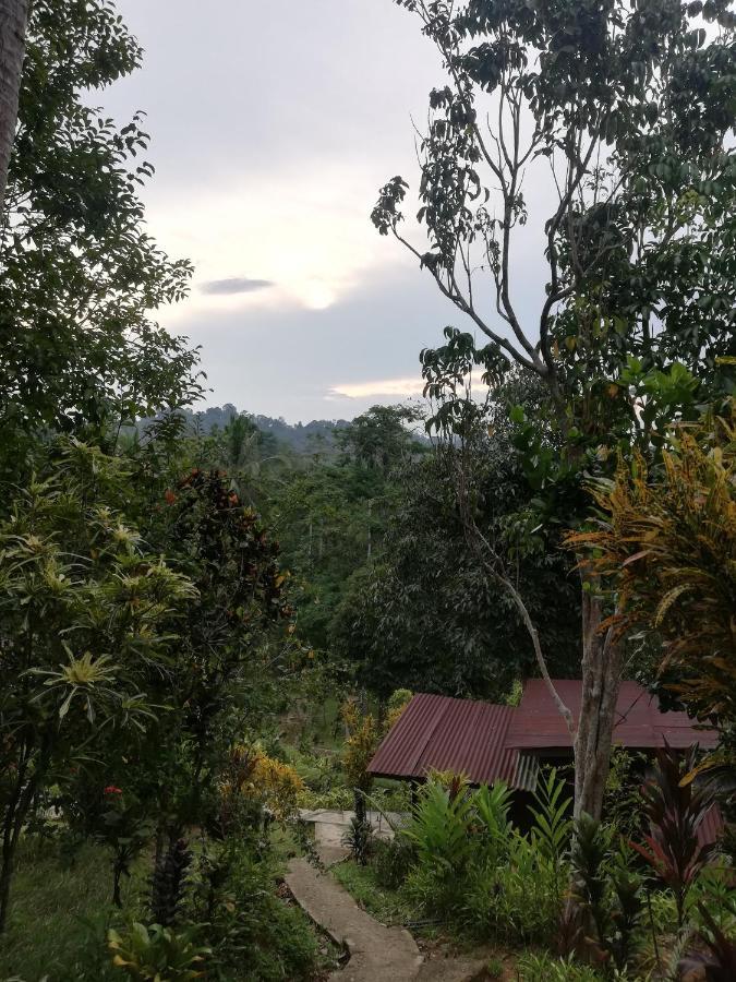 Durian Chalet กัวลาทาฮัน ภายนอก รูปภาพ