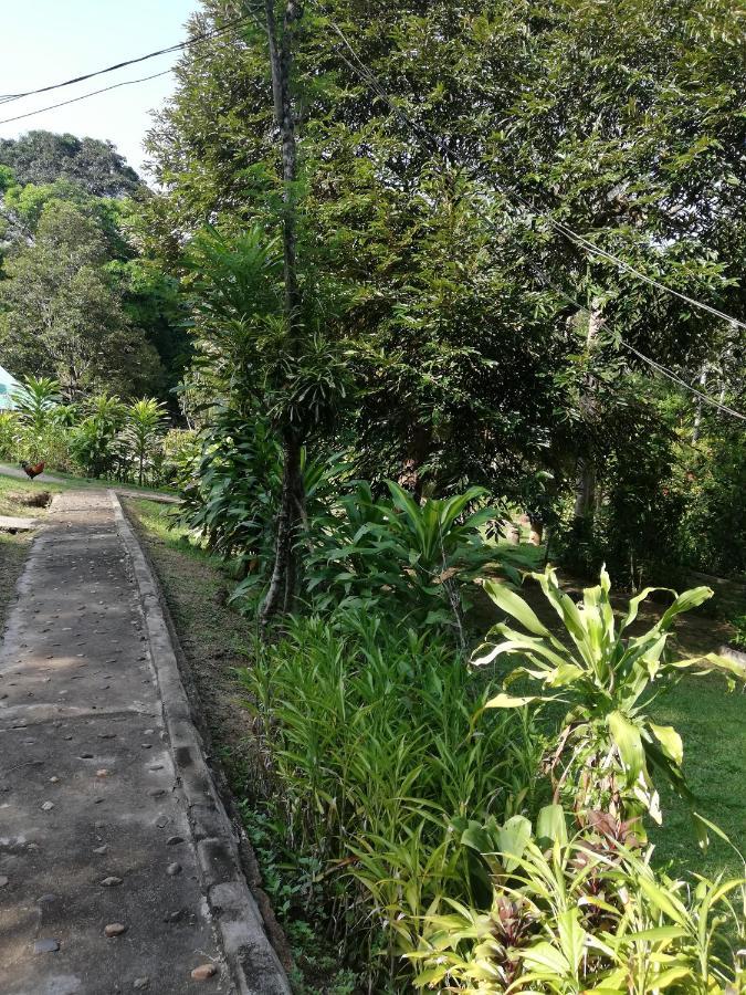 Durian Chalet กัวลาทาฮัน ภายนอก รูปภาพ
