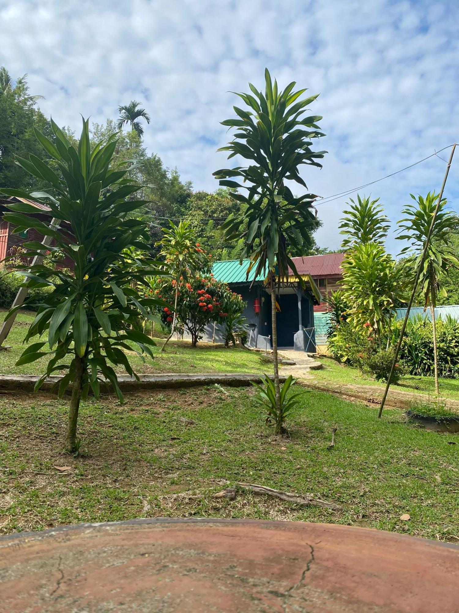 Durian Chalet กัวลาทาฮัน ภายนอก รูปภาพ